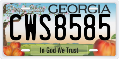 GA license plate CWS8585