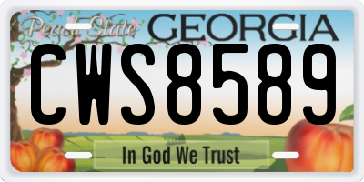 GA license plate CWS8589