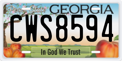 GA license plate CWS8594
