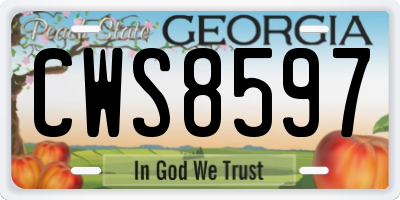 GA license plate CWS8597