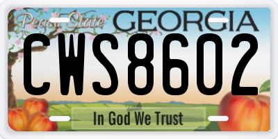 GA license plate CWS8602