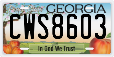 GA license plate CWS8603