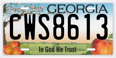 GA license plate CWS8613