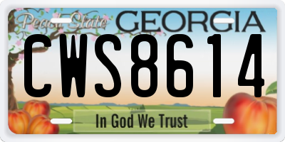 GA license plate CWS8614