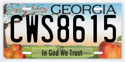 GA license plate CWS8615