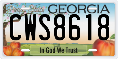GA license plate CWS8618