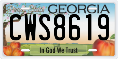 GA license plate CWS8619