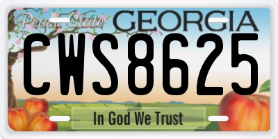 GA license plate CWS8625
