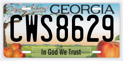 GA license plate CWS8629