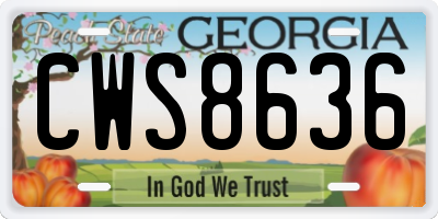 GA license plate CWS8636