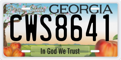 GA license plate CWS8641