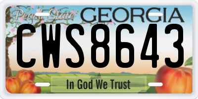 GA license plate CWS8643