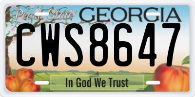 GA license plate CWS8647