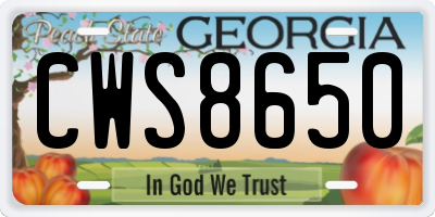 GA license plate CWS8650