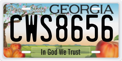 GA license plate CWS8656