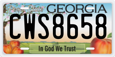 GA license plate CWS8658