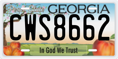 GA license plate CWS8662
