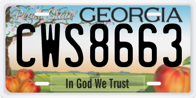 GA license plate CWS8663