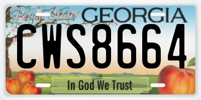 GA license plate CWS8664