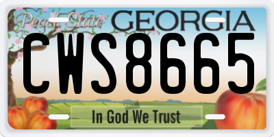 GA license plate CWS8665
