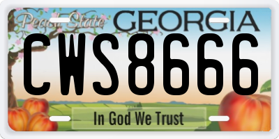 GA license plate CWS8666