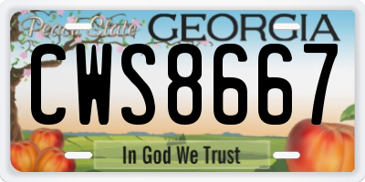 GA license plate CWS8667