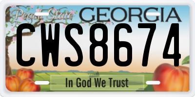 GA license plate CWS8674