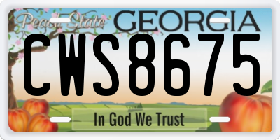 GA license plate CWS8675