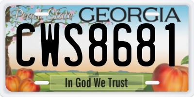 GA license plate CWS8681