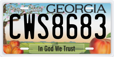 GA license plate CWS8683