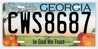 GA license plate CWS8687