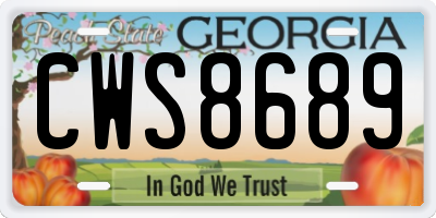 GA license plate CWS8689