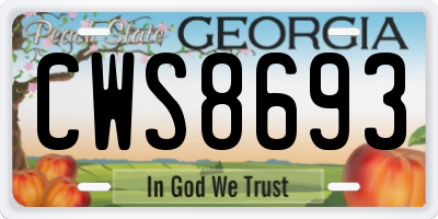 GA license plate CWS8693