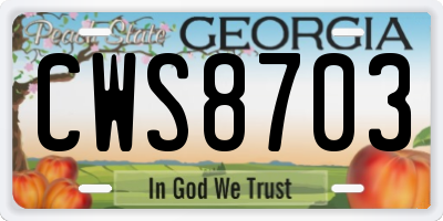 GA license plate CWS8703