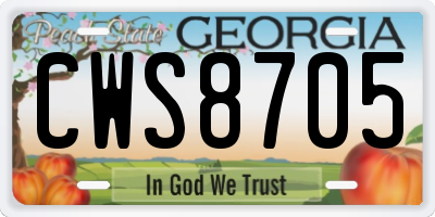 GA license plate CWS8705