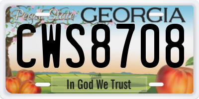 GA license plate CWS8708
