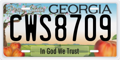 GA license plate CWS8709