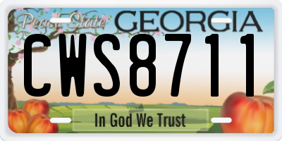 GA license plate CWS8711