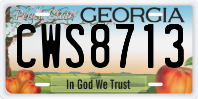 GA license plate CWS8713
