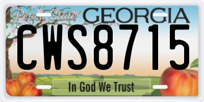 GA license plate CWS8715