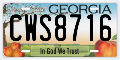 GA license plate CWS8716