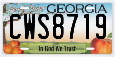 GA license plate CWS8719