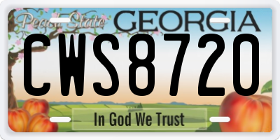 GA license plate CWS8720