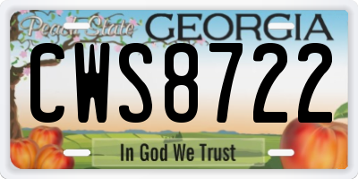 GA license plate CWS8722