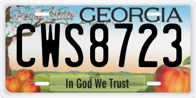 GA license plate CWS8723