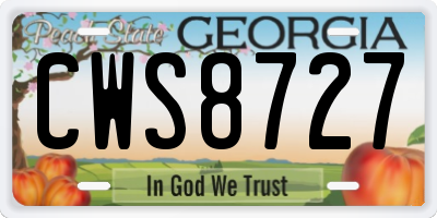 GA license plate CWS8727