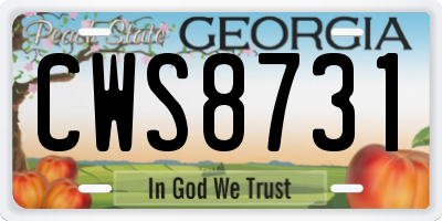 GA license plate CWS8731
