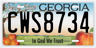 GA license plate CWS8734