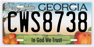 GA license plate CWS8738