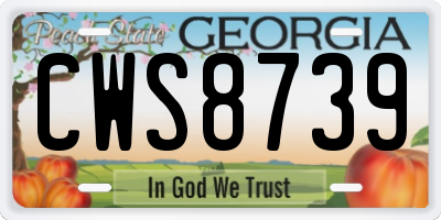 GA license plate CWS8739